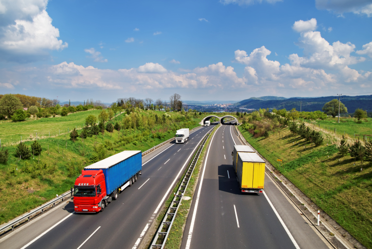 Jak zarządzać ryzykiem celnym w exporcie?