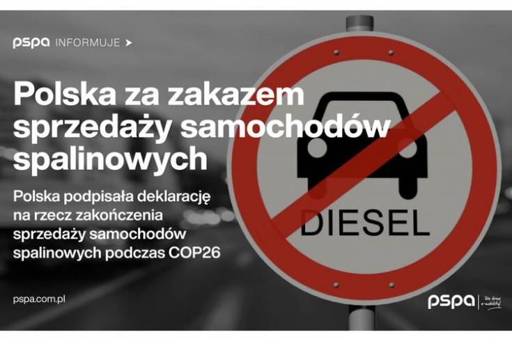 Polska za zakazem sprzedaży samochodów spalinowych