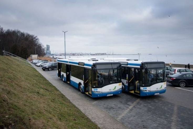 8 nowych Solarisów wyjedzie na dwie z najdłuższych tras w Gdyni