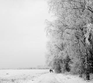 Zdjęcie, które w konkursie Mobile Photo Awards zdobyło II miejsce.