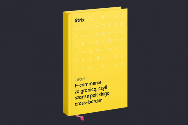 Raport Strix: brak know-how niezmiennie hamuje tempo ekspansji polskiego e-commerce