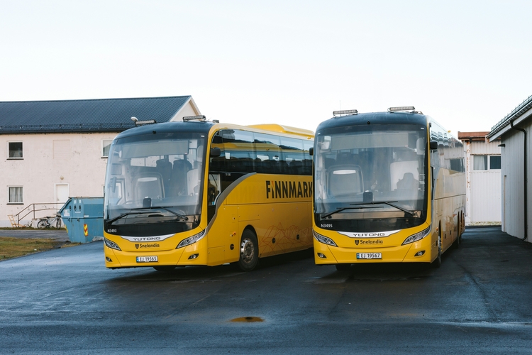 Busy do Belgii od Celotrans - po czym poznać najlepszego przewoźnika?