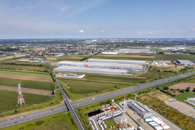 Wsp&oacute;łpraca SEGRO i Vilmorin Garden w Wielkopolsce kwitnie