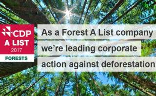 Firma Brambles uznana za jednego z sześciu światowych liderów  w walce z wylesianiem w łańcuchach dostaw